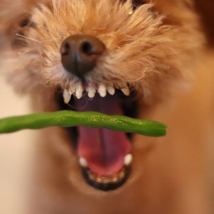 1ac8f078 82c0 48a8 9598 90b7b9406228 1599062206902