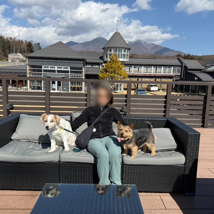 1ac98481 5c04 412e 98de a095b326b0e6 1771849228086