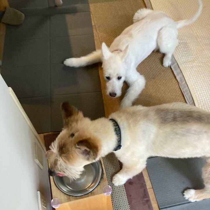 1ac98dd8 576d 4559 ac8e dca2adbebc50 1774425343006