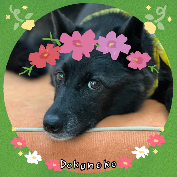 1ac99611 b15d 44df 9782 c3b7f9c0399c 1726907644947