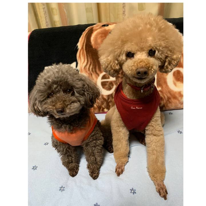 1ac99673 3ff9 487b 8e51 5eeab9f09b31 1585213853114