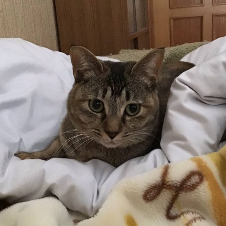 1ac9b922 9c7b 469c ad5f 460e2e5fdb96 1585711539948