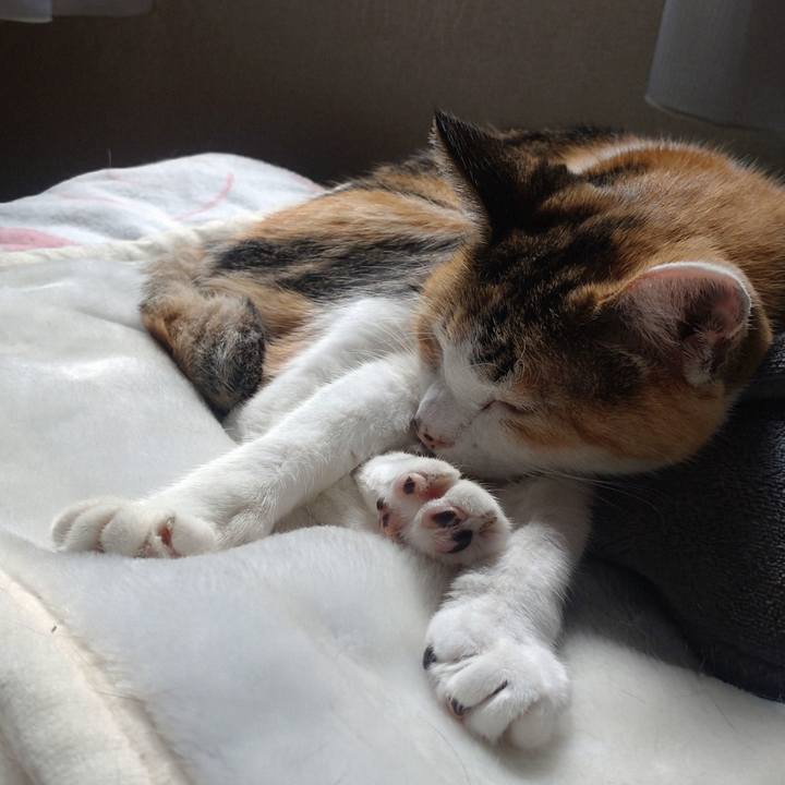 1ac9ba56 ef19 4110 981e f9edcddc58d3 1757816204716