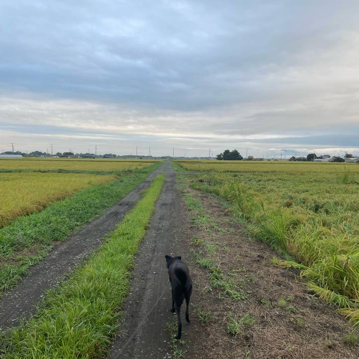 1aca2751 533f 4f89 8f73 f78c15c26b60 1662151789920