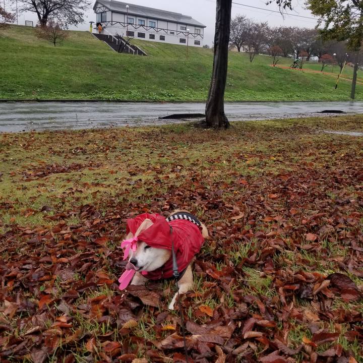 1aca480b 359d 48d1 8076 56d15bac194f 1730528801924