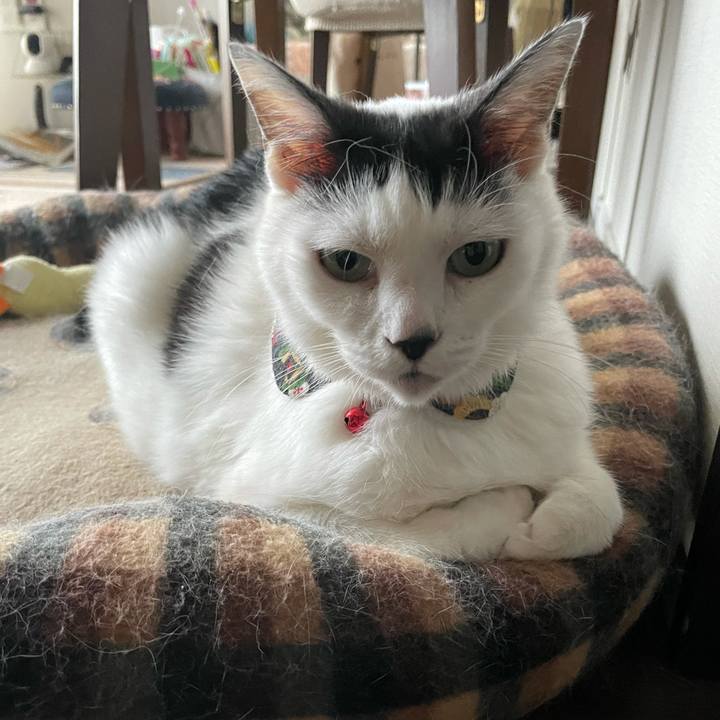 1aca48a2 e2c3 46da a585 363e7faa4dec 1634353209416