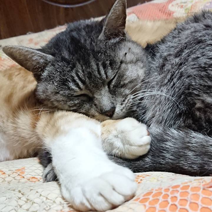 1aca4961 cc19 4232 a13f 5b83391a6c8b 1577104516300