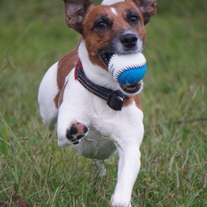 1aca6631 d197 43b9 a5f0 46e0544e0f3d 1538695426755