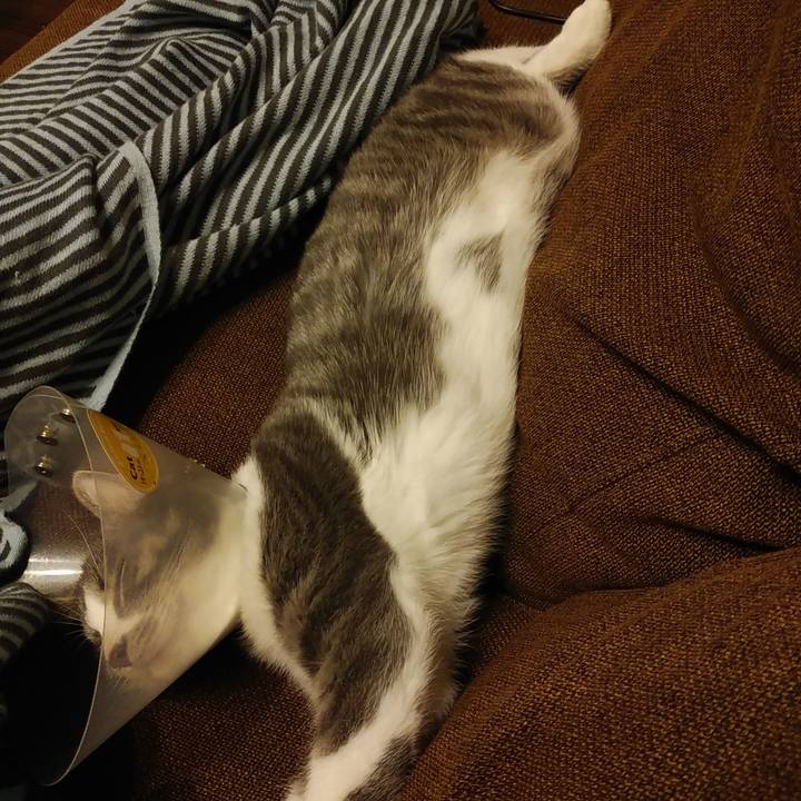 1aca8a59 cdf2 496a 96ec f9c8ab0459b2 1571149970299