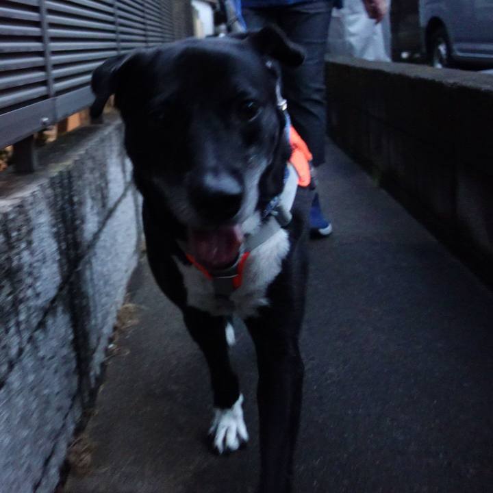 1aca9053 a7b0 48ce 8c79 9e327496d645 1717411197679