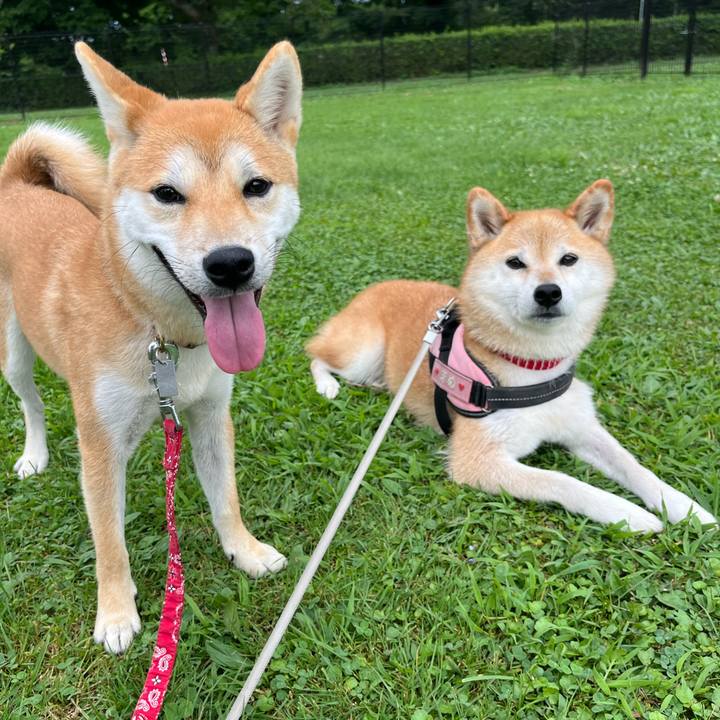 1acb4150 a900 4f63 9a9b d48e8498f915 1755254264635