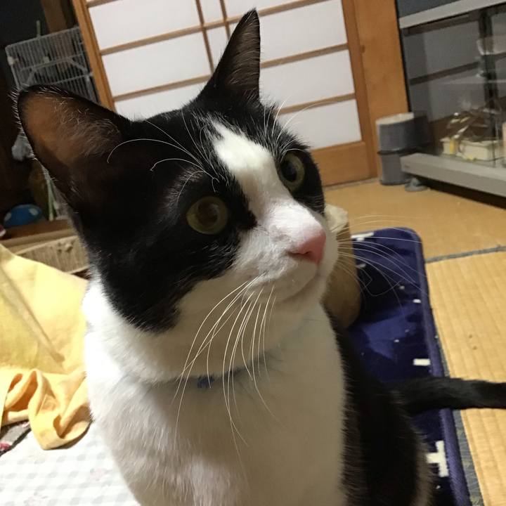 1acbbd6b 595d 44ae accc 8b43600559ca 1708074301441