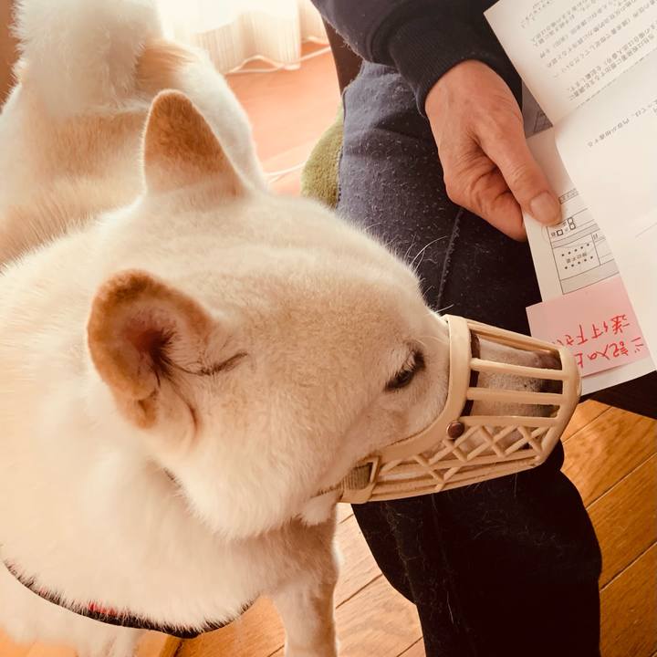 1acbda77 1e7f 4ba8 a00c ae8e5abe822d 1612848432386