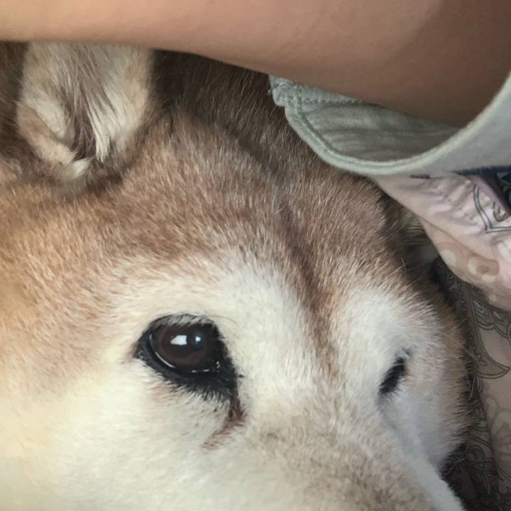 1acbe0d8 8bdd 4c0f 918d 524f75af69a7 1610268196688