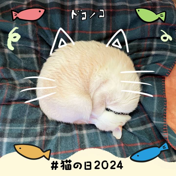 1acc0ab5 a34d 4e03 a036 c79c4ff74359 1708560523373