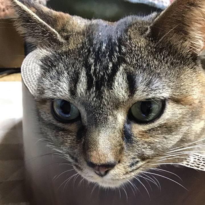 1acc3928 df3b 4fc7 8999 6b01d3219313 1703417708012