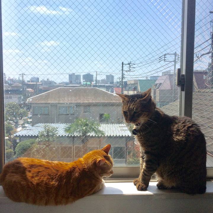 1acc64fa fe72 4d17 b1e0 c1272879326c 1575902282887