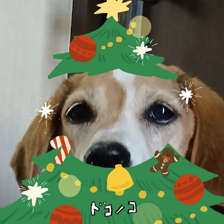 1acc767b 2f5d 46e4 b172 a32142f3deaf 1762068551010