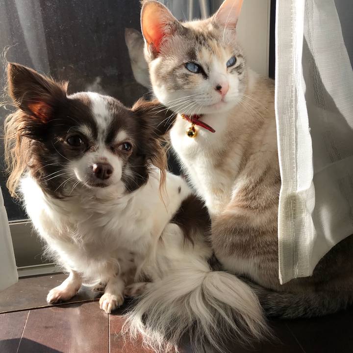 1acc85a5 4457 44f8 9018 2435682e7f19 1514812698810