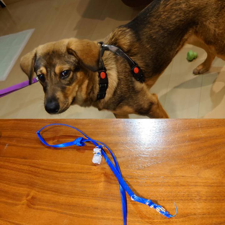 1accb1fa 3708 4f09 98a5 d8438d3bae17 1688082930425