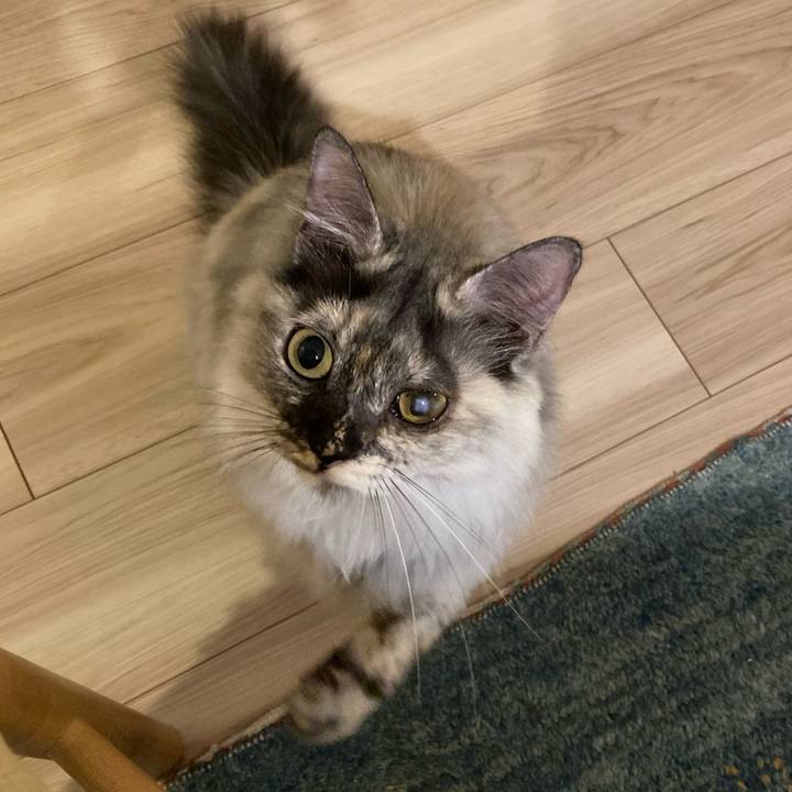 1accca44 a16a 44eb 9acd d10842c878da 1730457058625