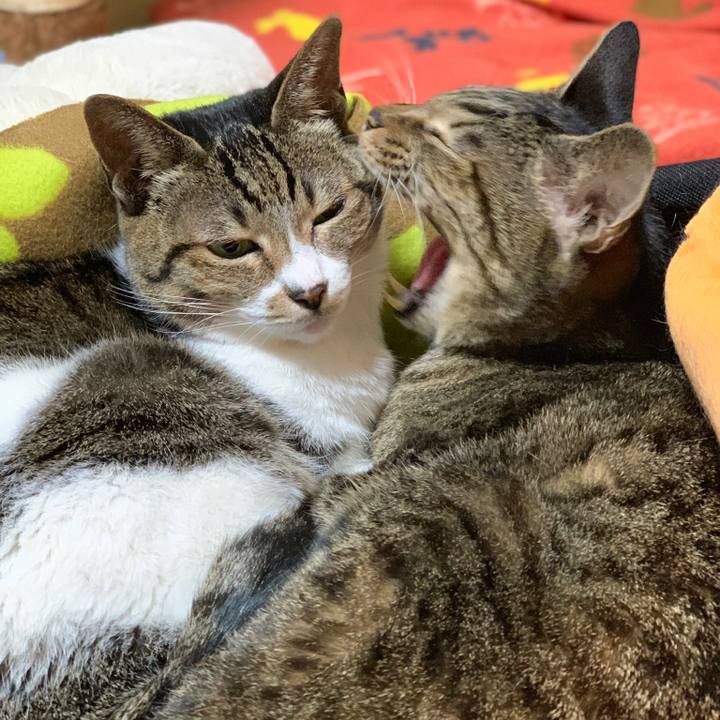 1acceb3e fcc3 4b9b 81f1 d15718a928eb 1578182332641