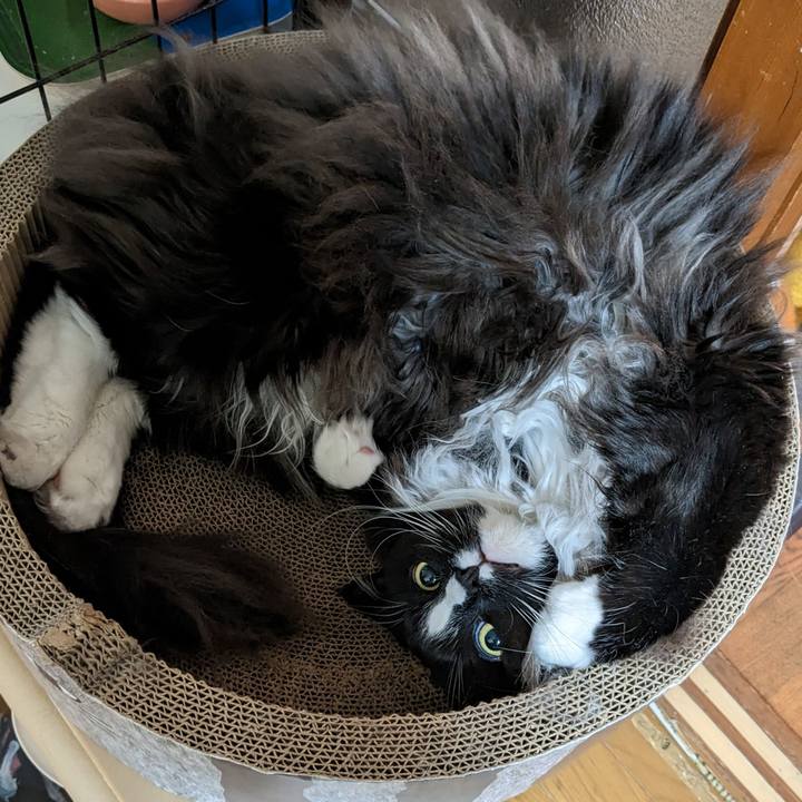 1accf54a 6ca9 4429 8d37 28e4f3a5872f 1671933319018