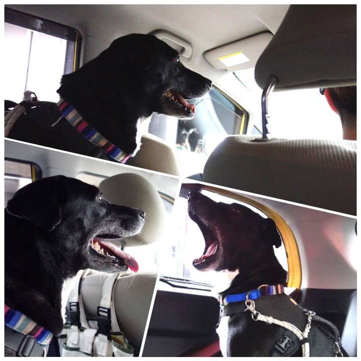 1accfb23 1454 4fd7 93c0 392b5f38b537 1651834049482