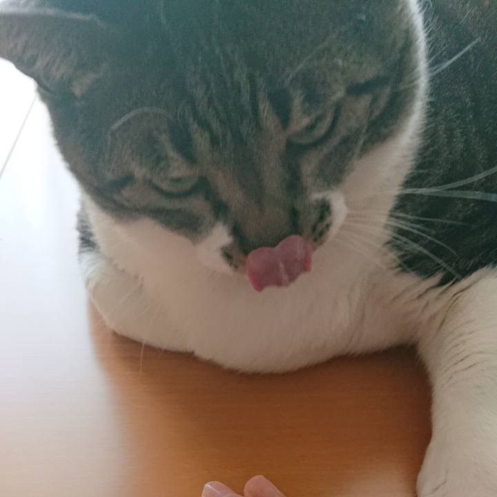 1acd2a1d 1ea3 420b 8524 dedc10fcbe2c 1554603955016