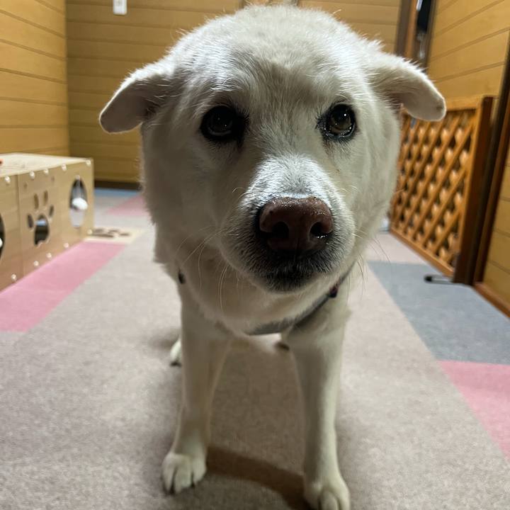 1acd83a2 ec6b 4602 8d84 542d42937c9e 1765409829850