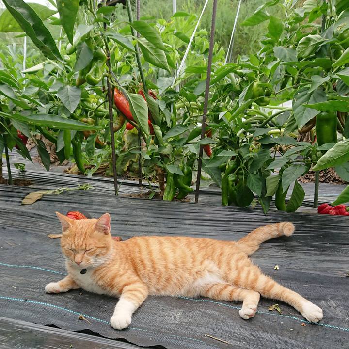 1acd8eca 6292 4332 a104 537db439e5c6 1567295955278