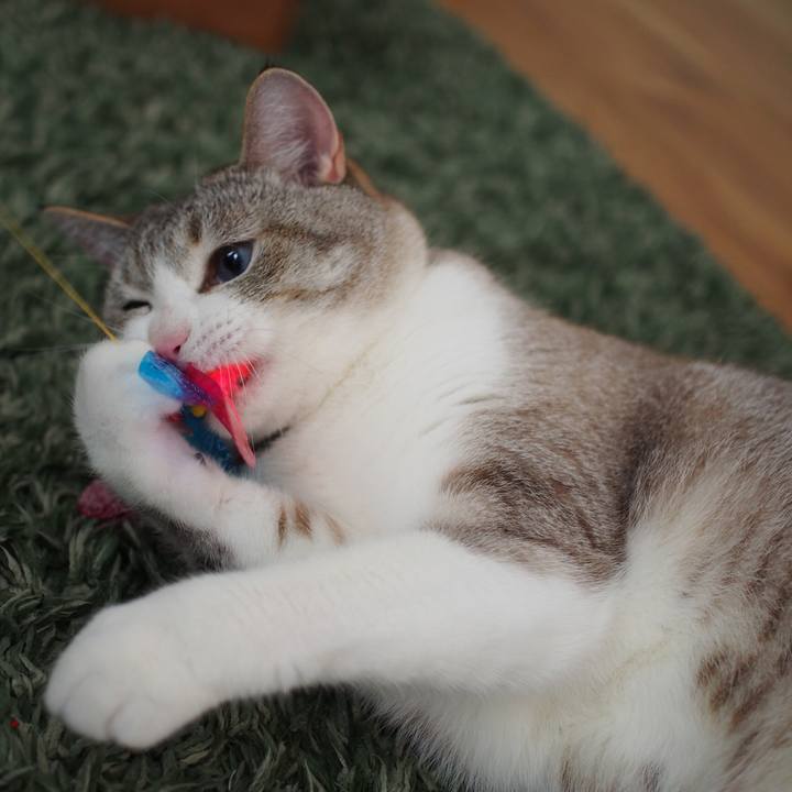 1acdb897 8759 4f72 bb8f a09d23adccd9 1592735332635