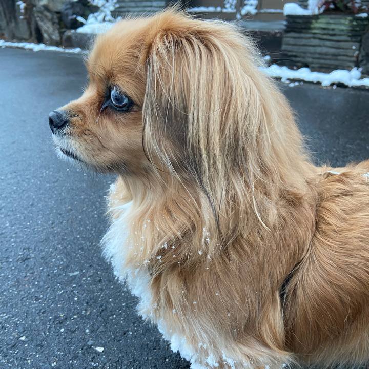 1acdfb4a 465b 4446 b381 690483c41e89 1702780700412