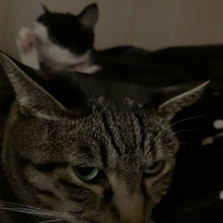 1ace263a 5fc4 4269 a219 9d8e97bcc236 1614223664917