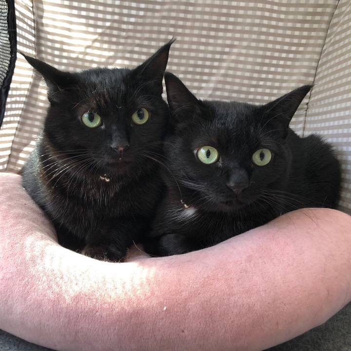 1ace2e33 2ed7 424a a419 af2257ad86ec 1552715546876