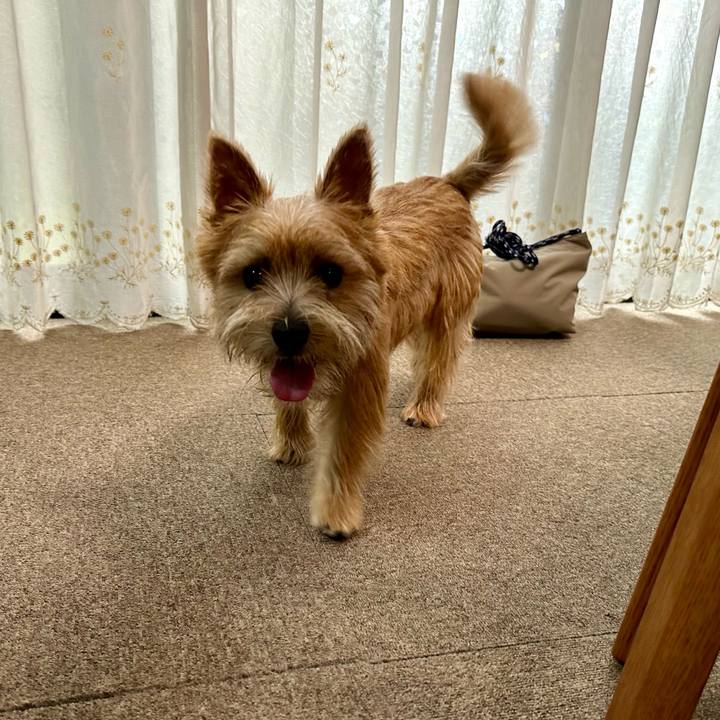 1aceadba 7e96 480b 9107 091c9c1a2a07 1727536289564