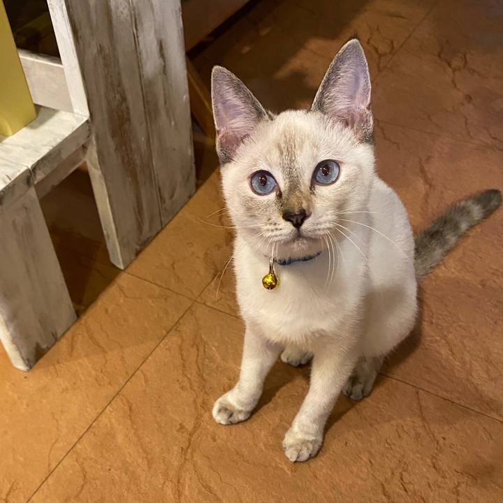 1aceb945 c7df 4435 863b cadfb5ef151d 1632475345036