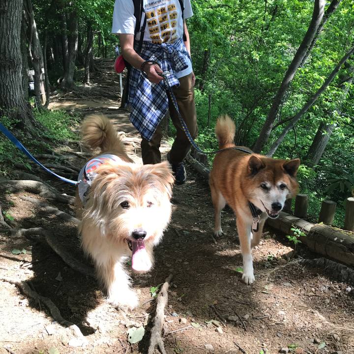 1acf130c 9d05 47fa b086 595ee69c6cd5 1651743684357