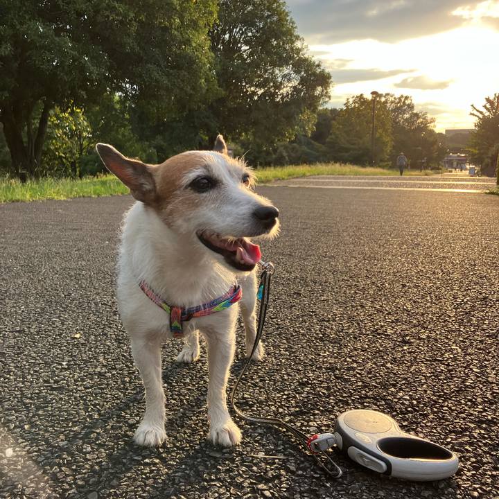 1acf7803 d782 4761 8de8 11ff20bf344f 1663111350762