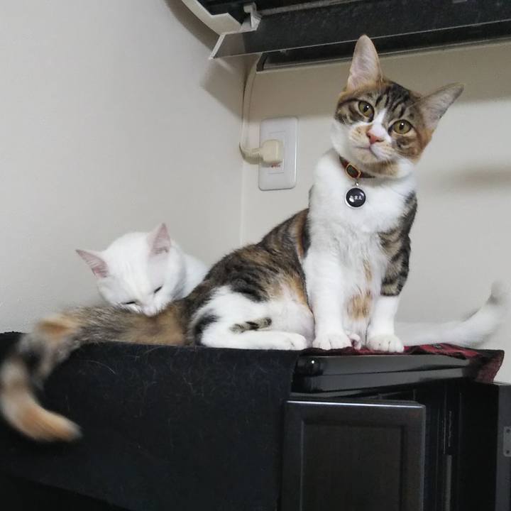 1acf96f4 a890 4458 8508 8e2587c309b0 1640833384725