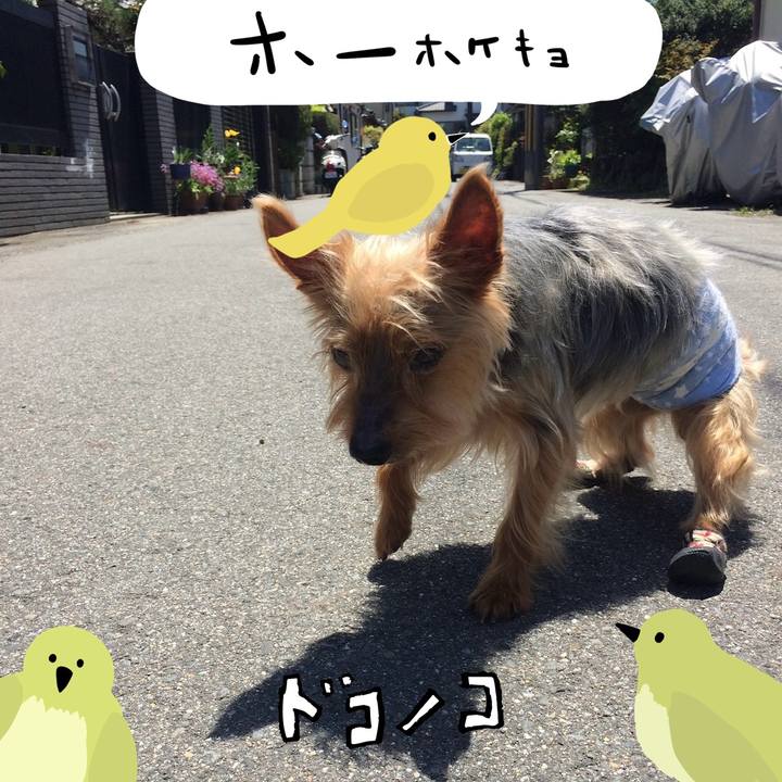 1acfb718 5900 41ad 9364 b631000d9a66 1711009252703