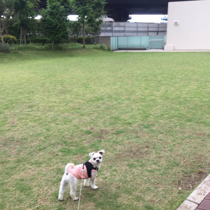 1ad00a24 6433 4cfe 8138 f9999a2eded3 1528620306722