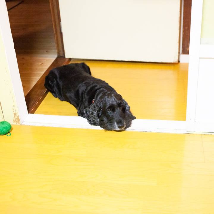 1ad00f85 4b2f 47b5 94ad 0aa8cb7a8cf2 1595258433265