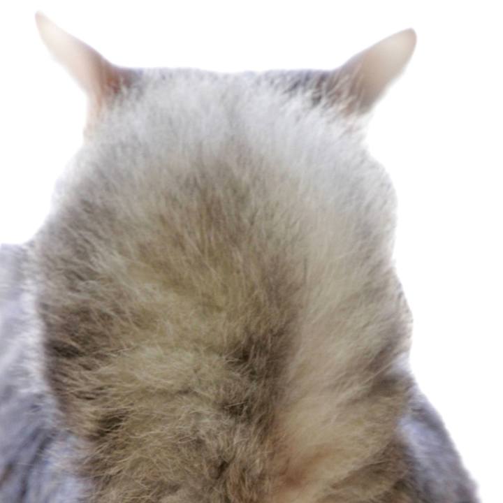 1ad02dfc 0569 4aff 9c0c 3e49d8f9ce53 1669694688799