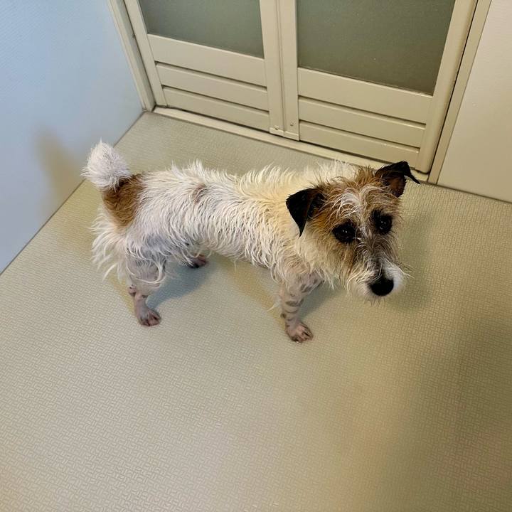 1ad04b50 af5a 48ff 838f 0f4457ecfe2e 1736054208286