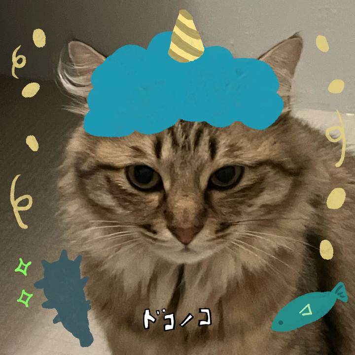 1ad07f11 b416 4e2f bca8 cbe4e526c7c1 1706799530829