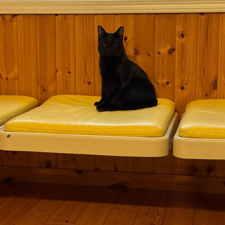 1ad08dc8 64ed 44b6 9df7 735590086742 1766531908254