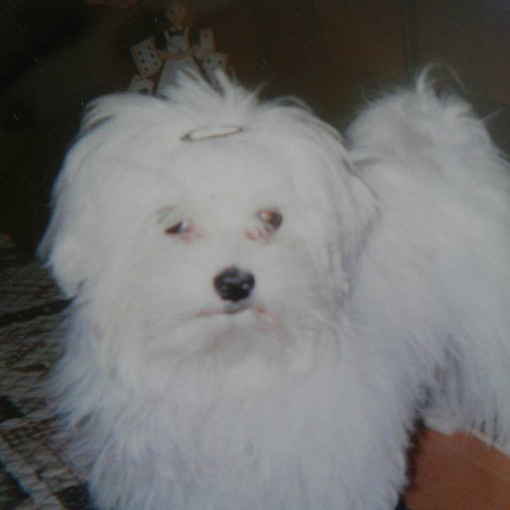 1ad09e9d 760f 4425 8ed4 dc46a07f5f48 1515640986813