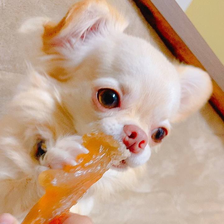 1ad15aae 01ef 4205 995d 112bff3b840e 1635640527121