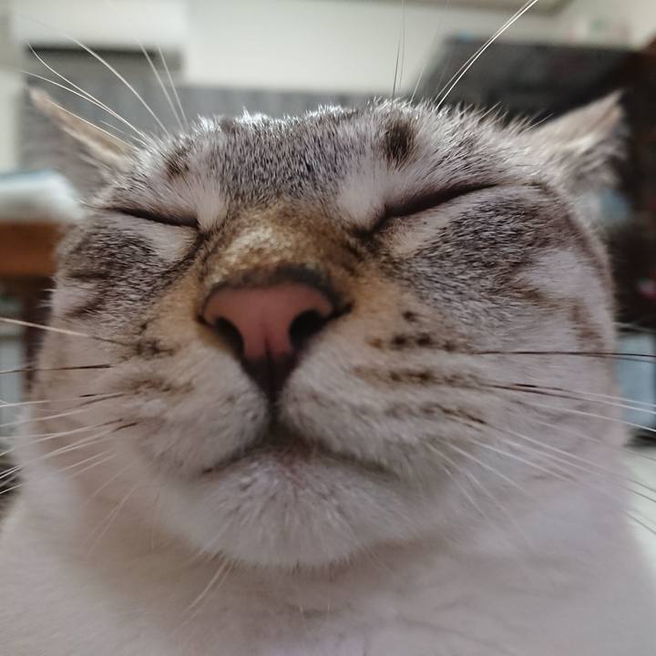 1ad18fa8 c030 47e7 a8e7 7cb55456c2d1 1565960294313